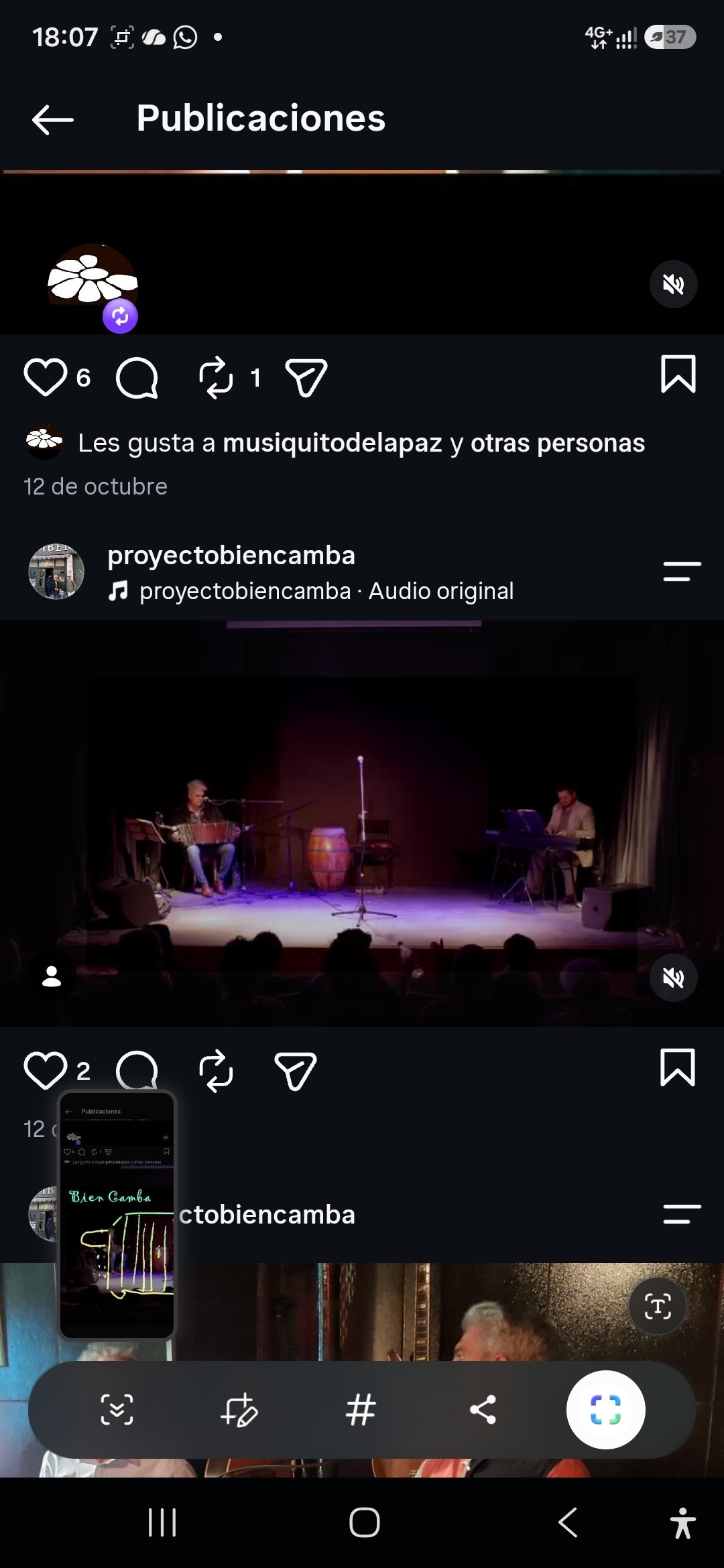 Proyecto Bien Camba en vivo en escenario